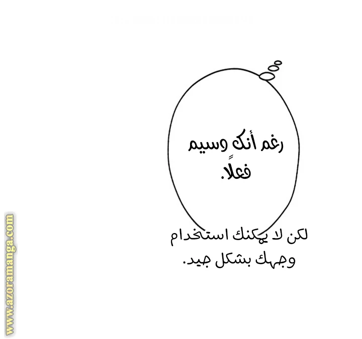 الصفحة 27