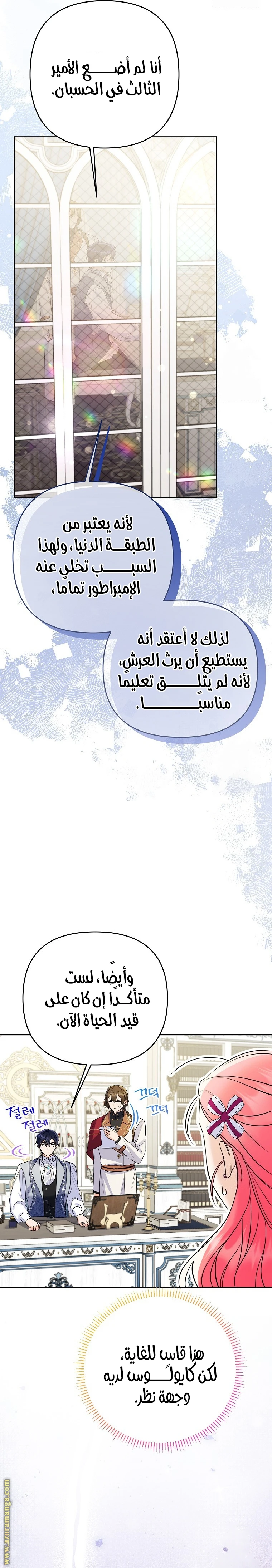 الصفحة 13