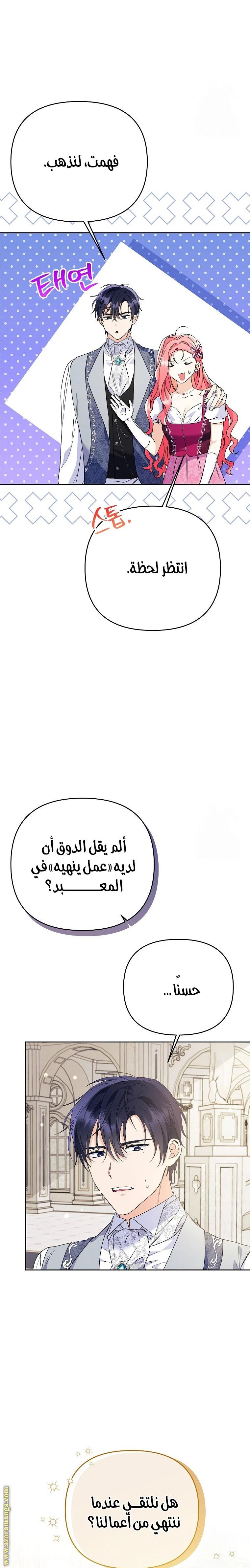 الصفحة 25