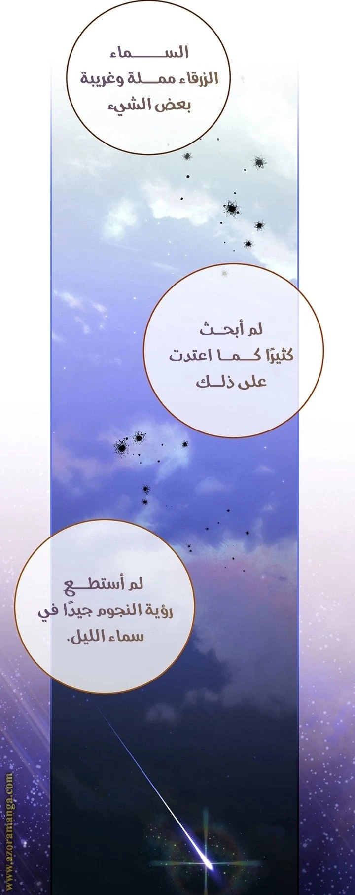 الصفحة 25