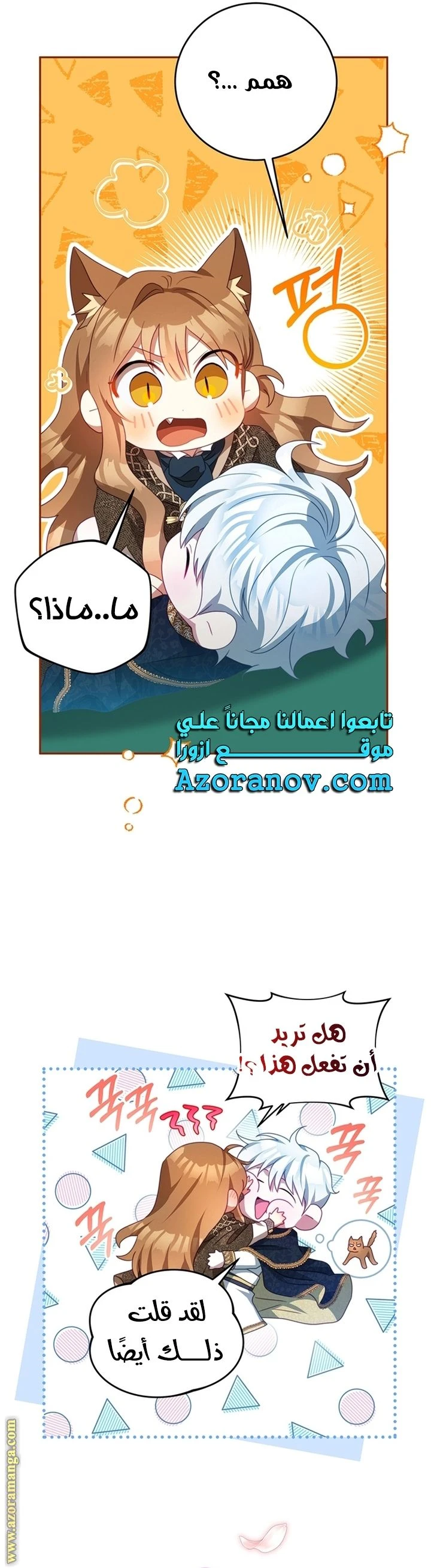 الصفحة 29