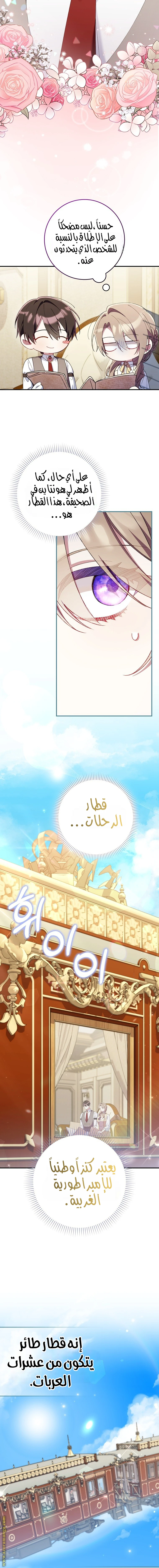 الصفحة 5