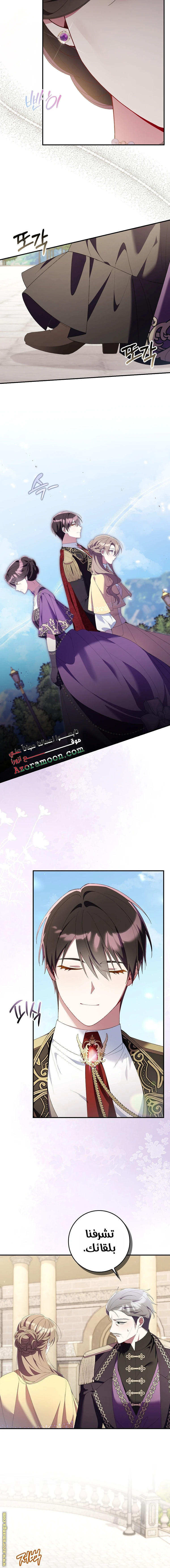 الصفحة 11