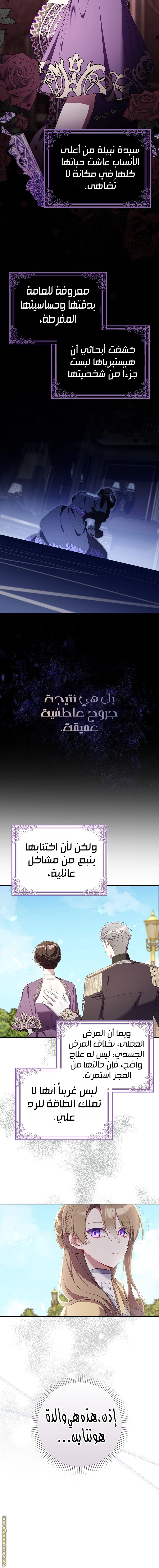 الصفحة 13