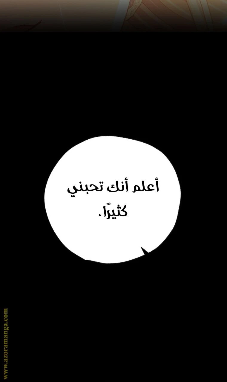الصفحة 48