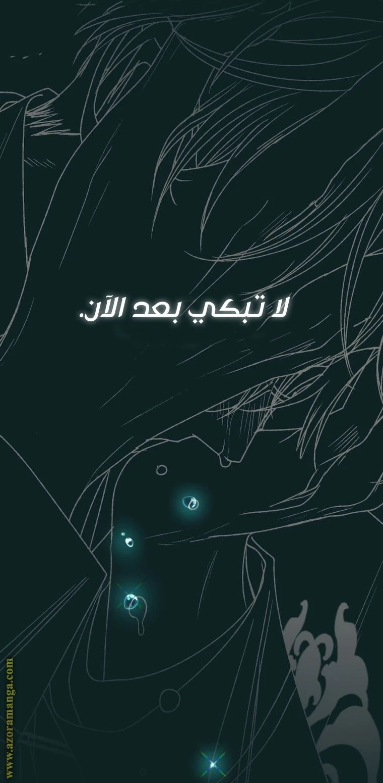 الصفحة 97