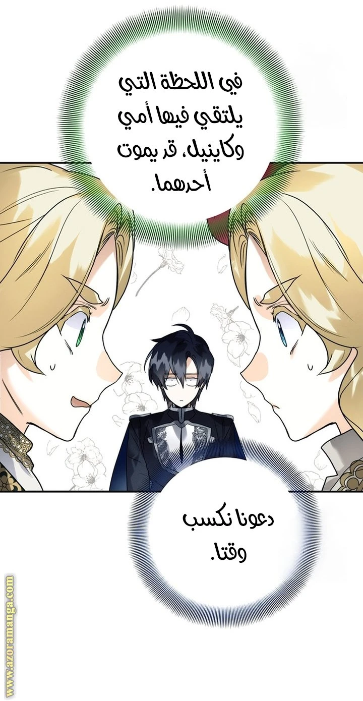 الصفحة 24