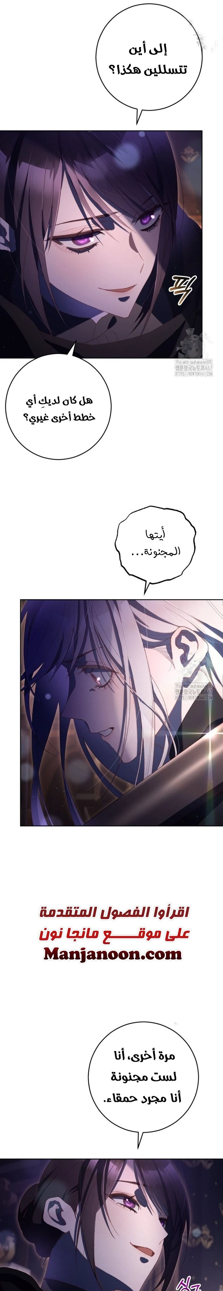الصفحة 13