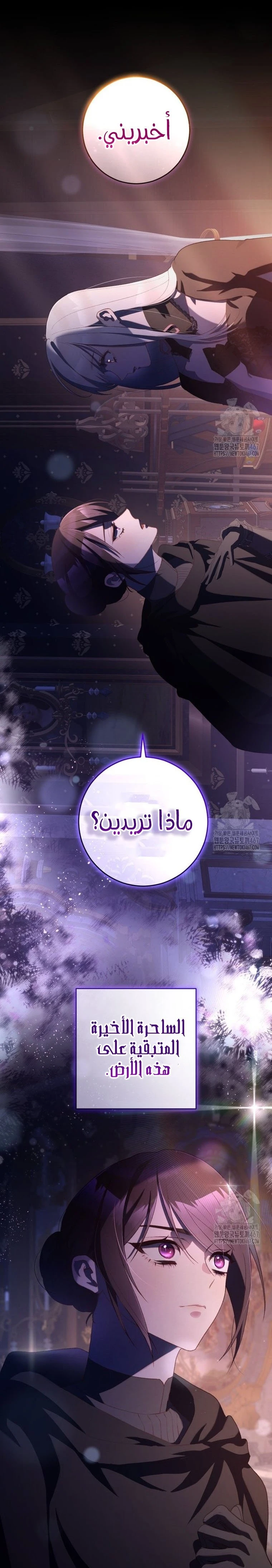 الصفحة 25