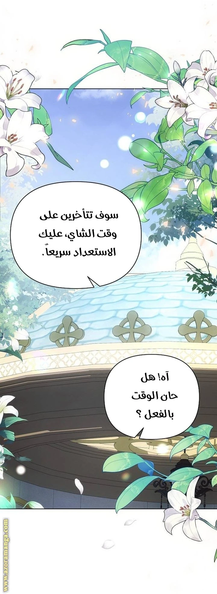 الصفحة 25