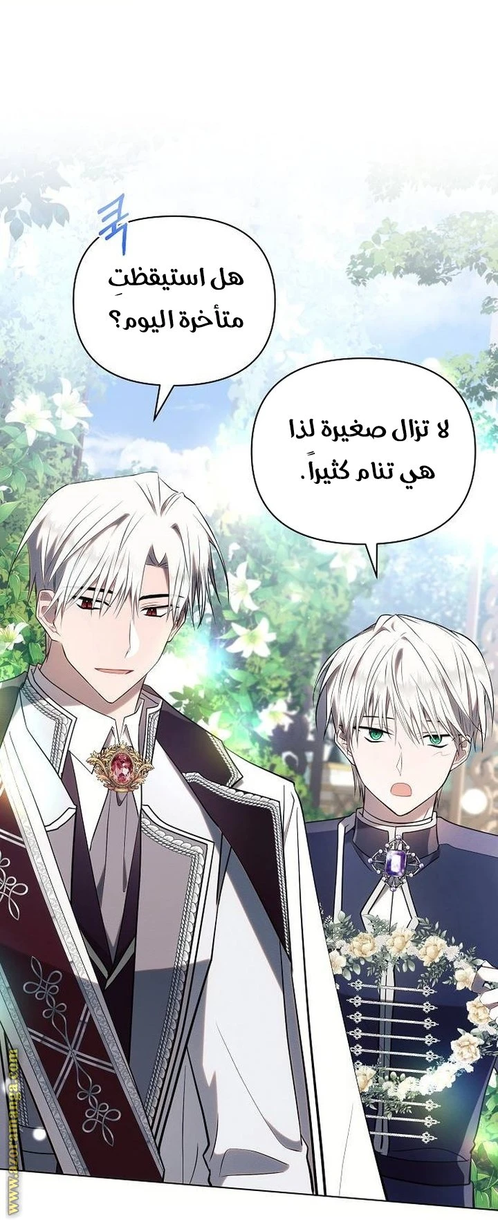 الصفحة 28