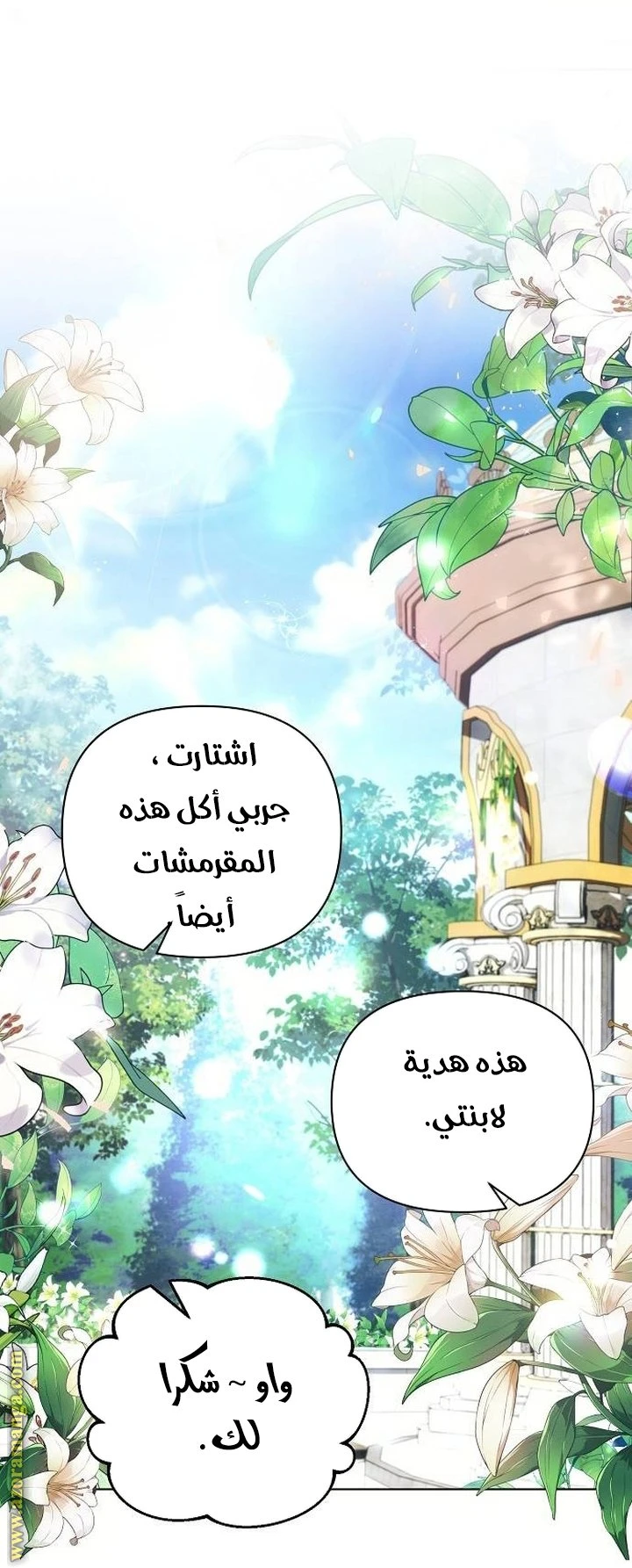 الصفحة 29