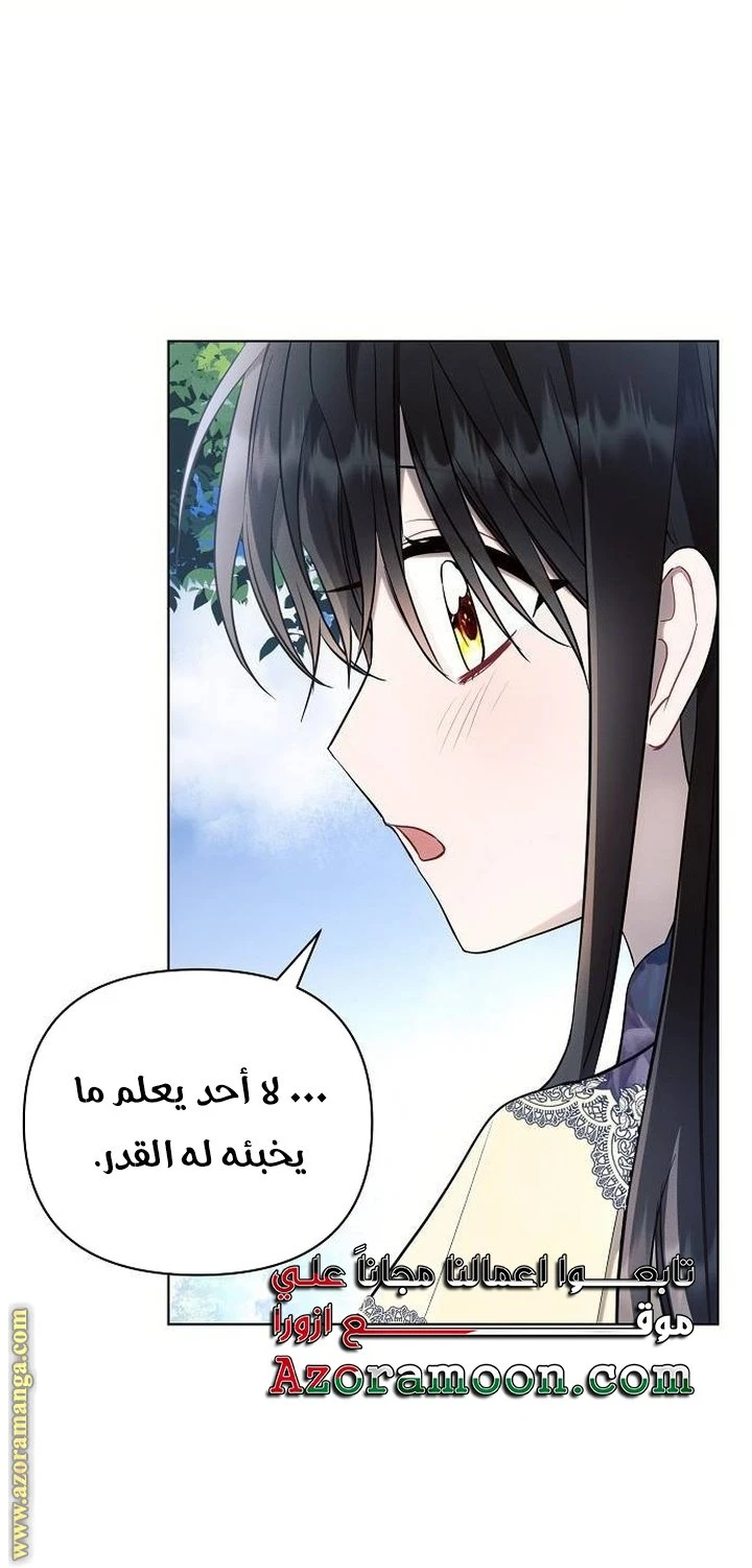 الصفحة 42
