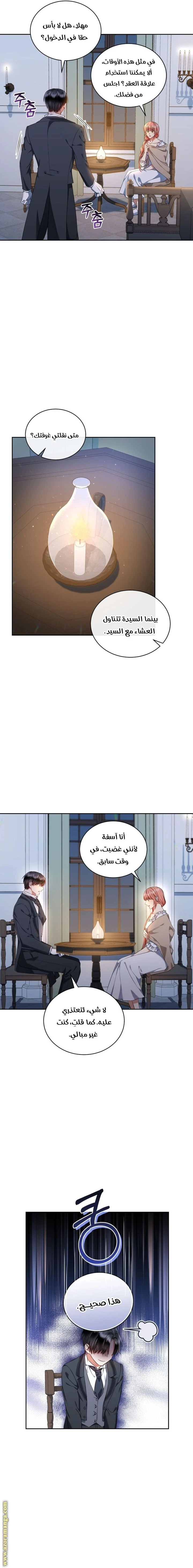 الصفحة 13