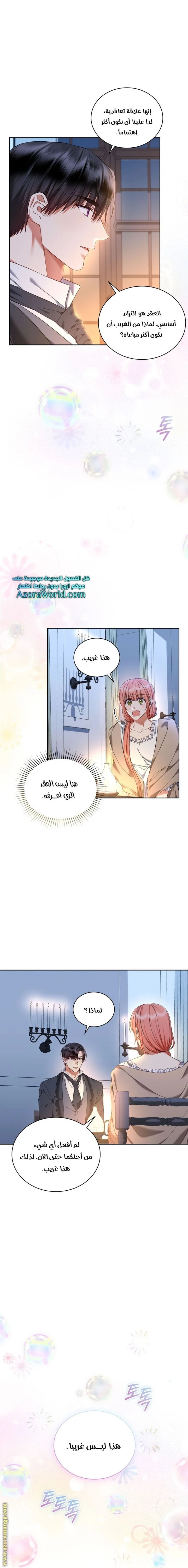 الصفحة 17