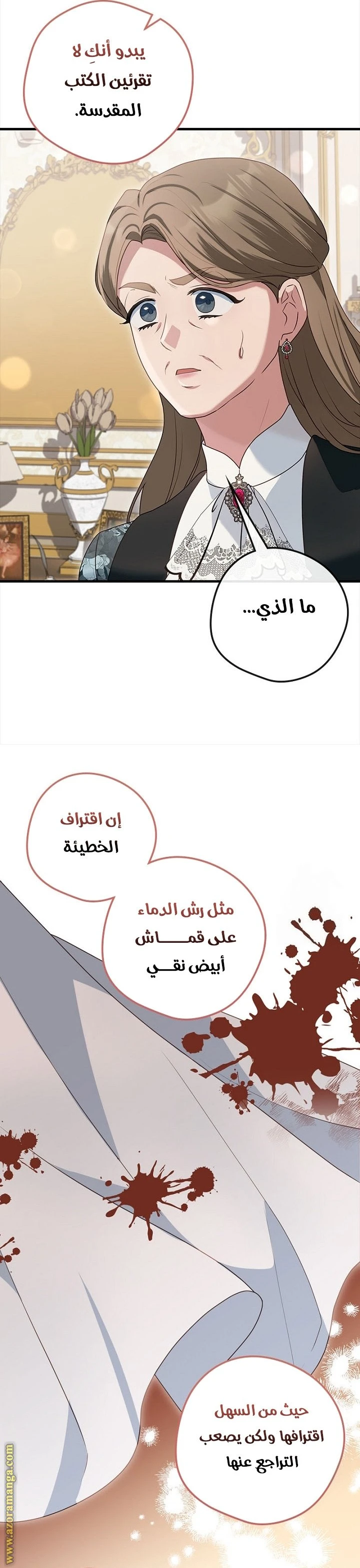الصفحة 17