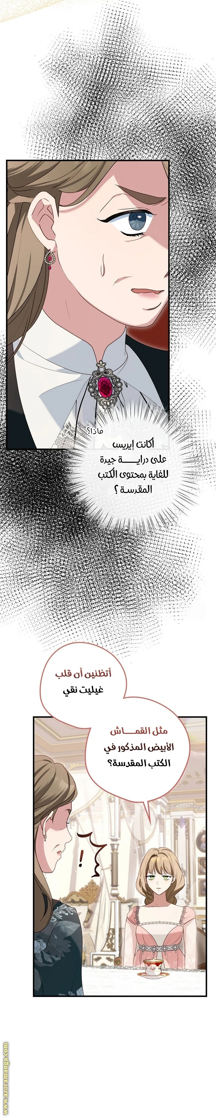 الصفحة 19