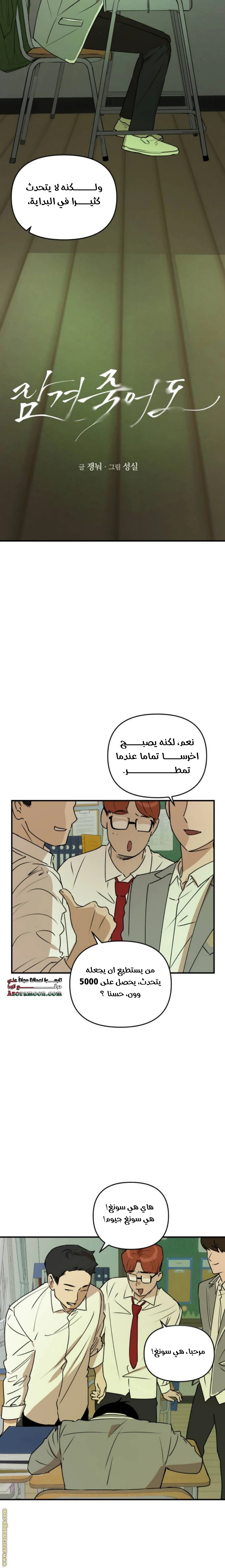 الصفحة 11