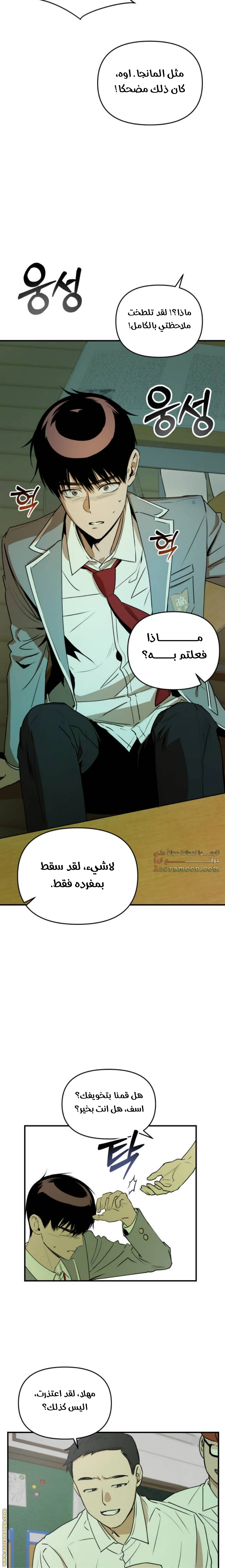 الصفحة 13