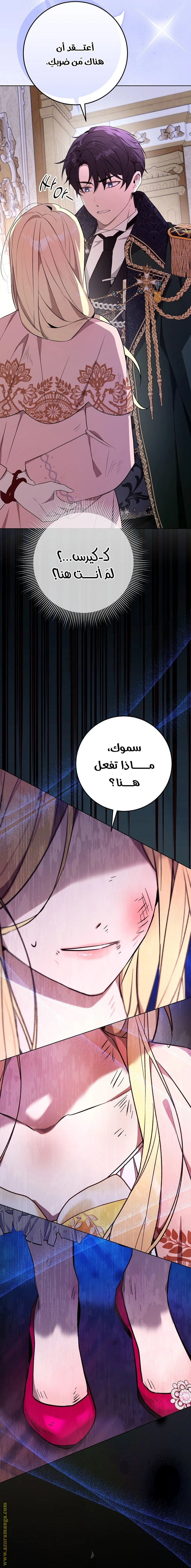 الصفحة 25