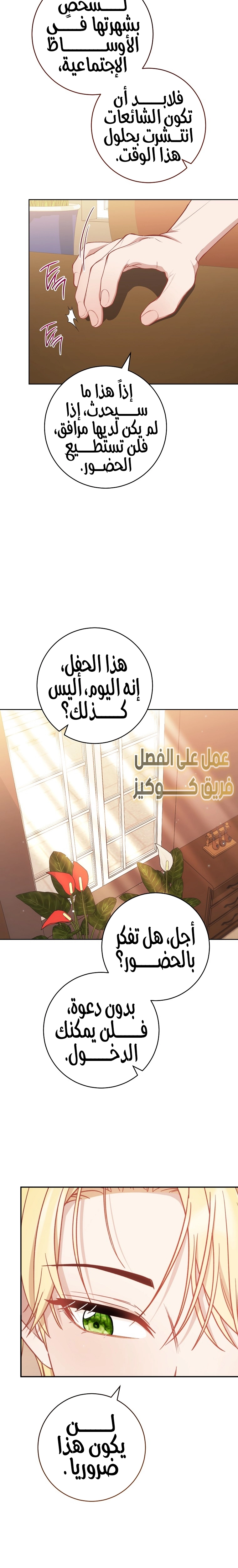 الصفحة 17