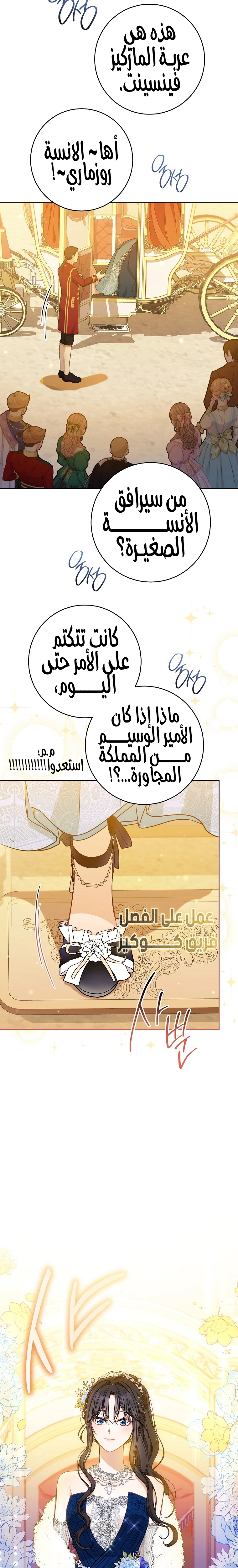 الصفحة 19