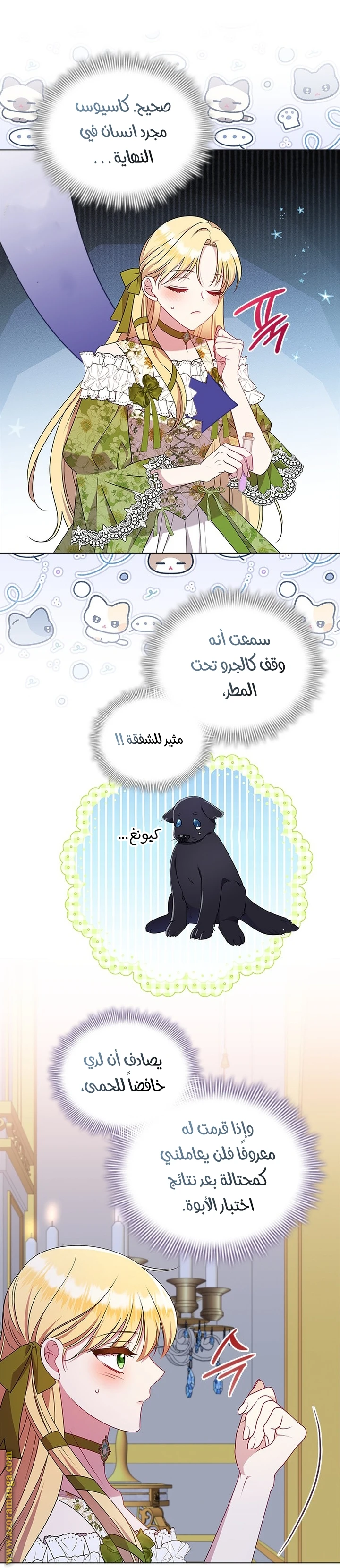 الصفحة 13