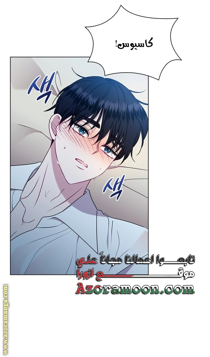 الصفحة 22
