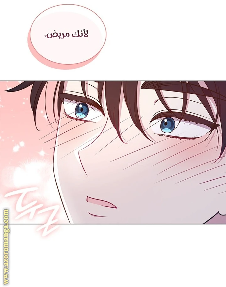 الصفحة 29
