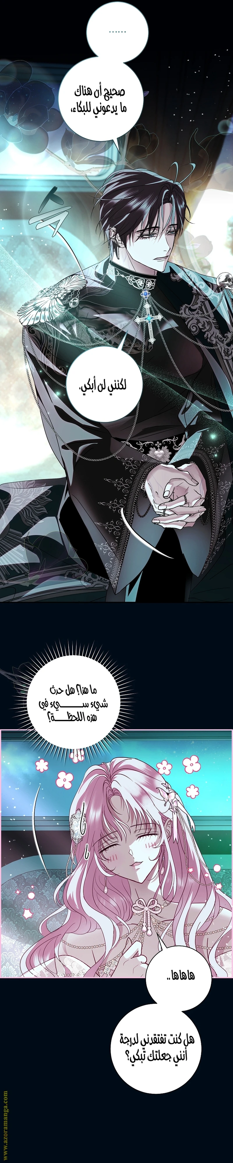 الصفحة 12