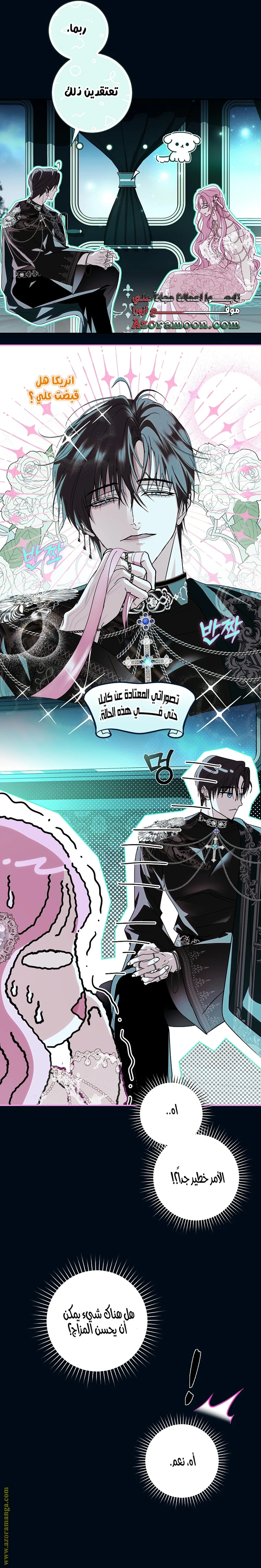 الصفحة 13