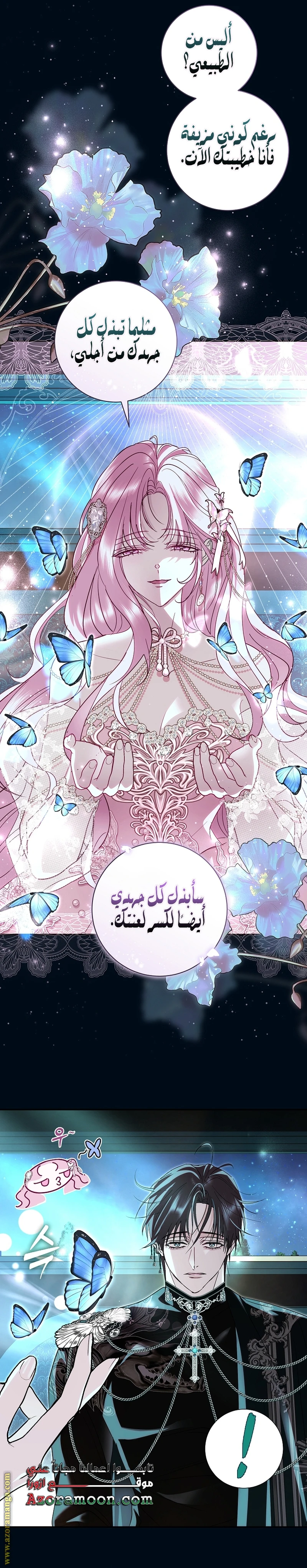 الصفحة 17