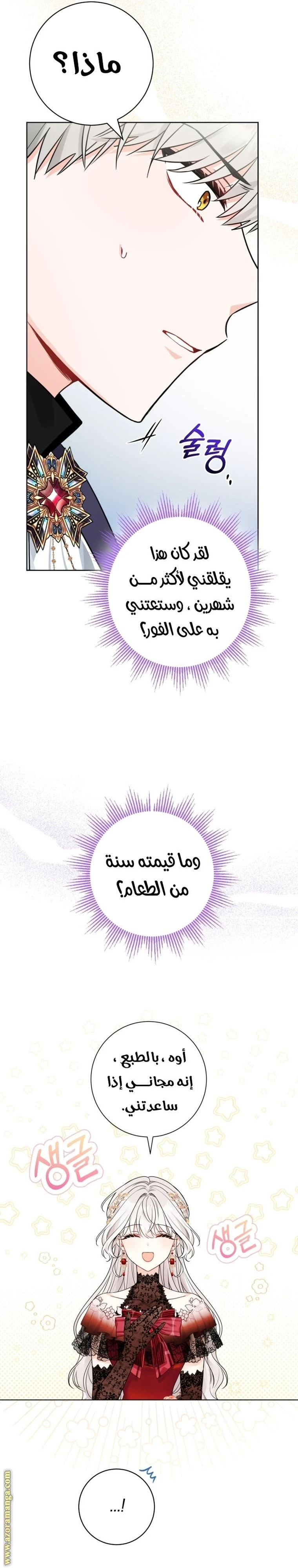 الصفحة 30