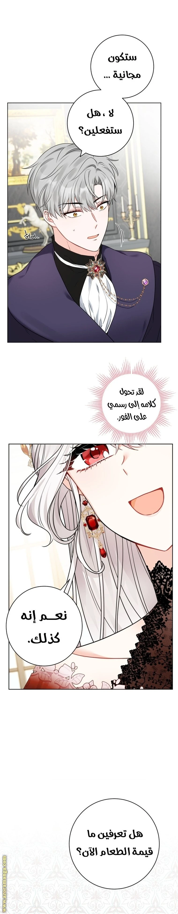 الصفحة 31
