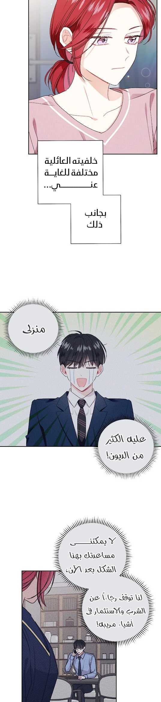 الصفحة 17