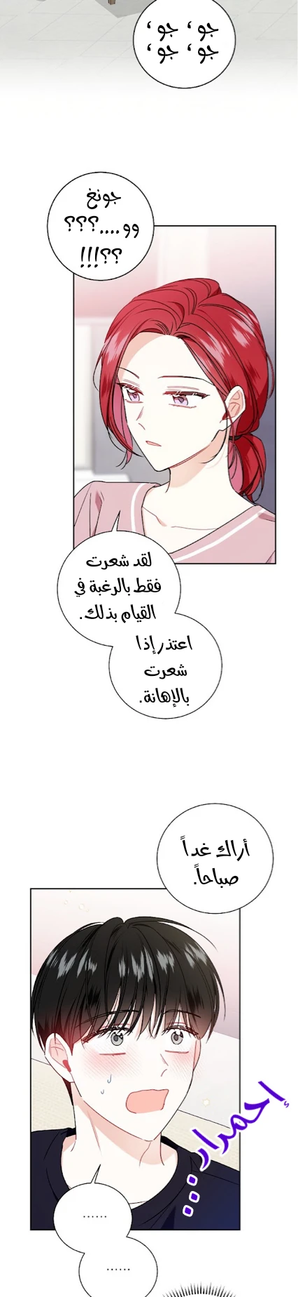 الصفحة 25