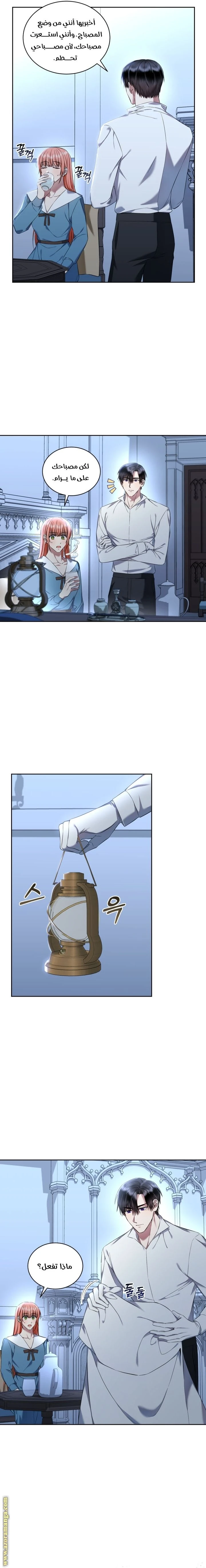 الصفحة 12