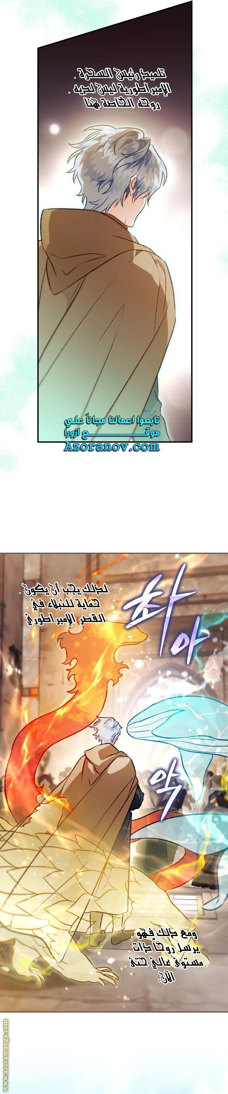 الصفحة 25