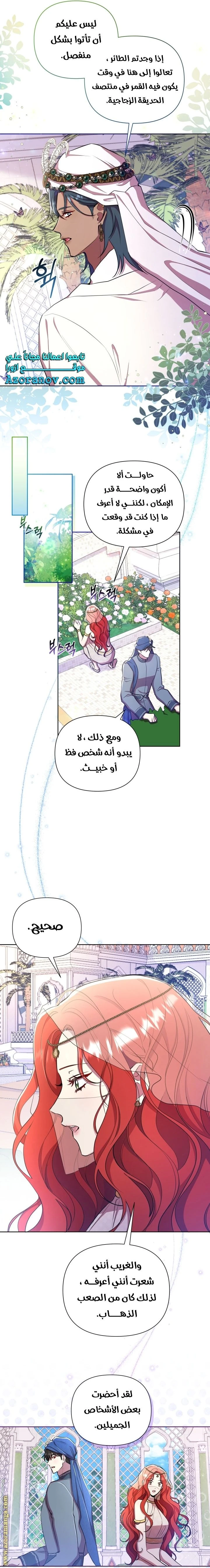 الصفحة 17