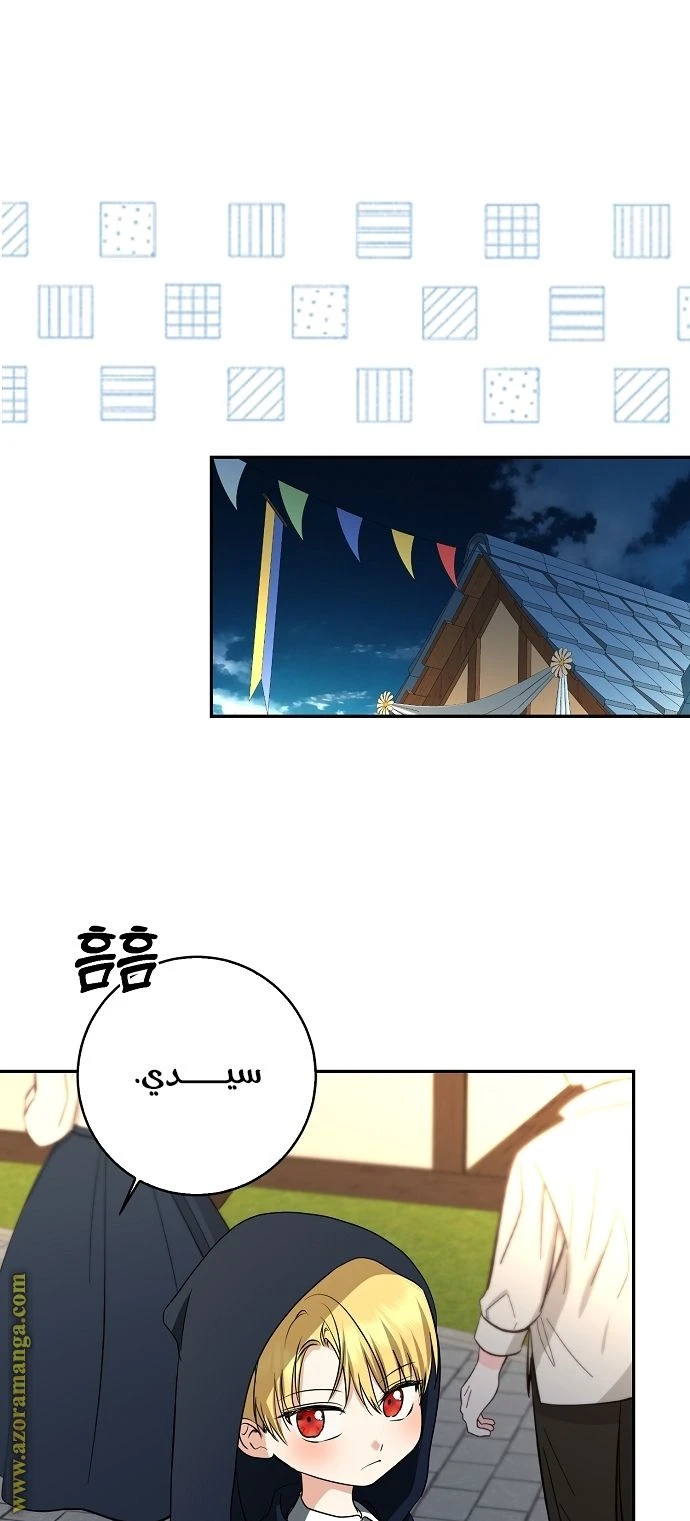 الصفحة 27
