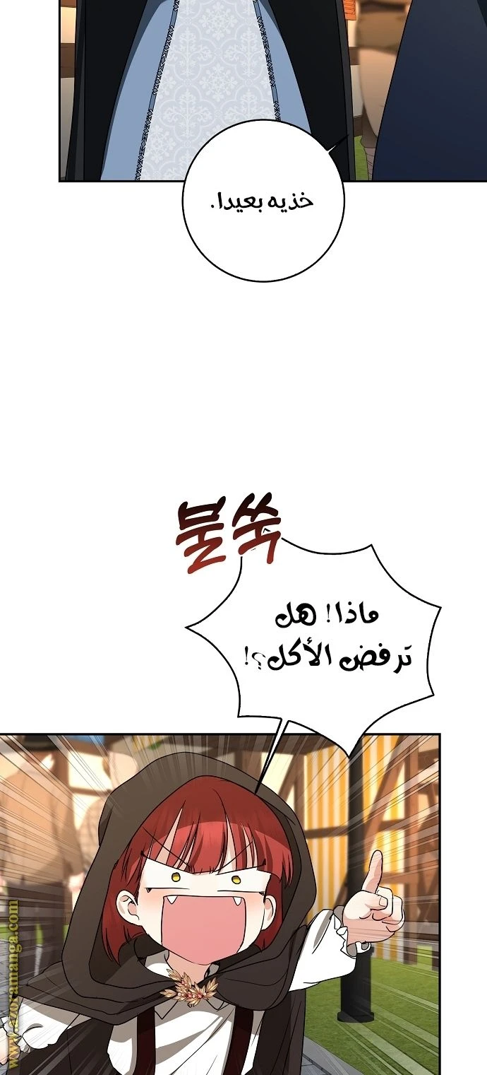 الصفحة 30