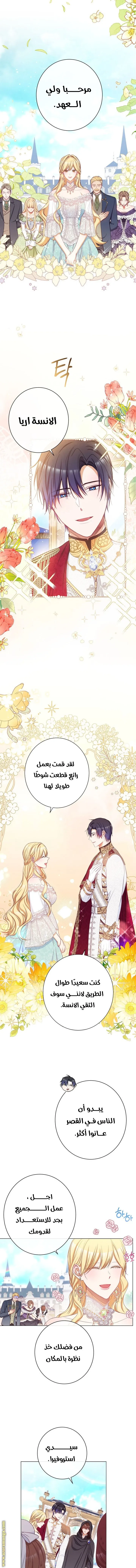 الصفحة 8