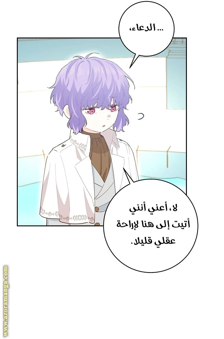 الصفحة 24