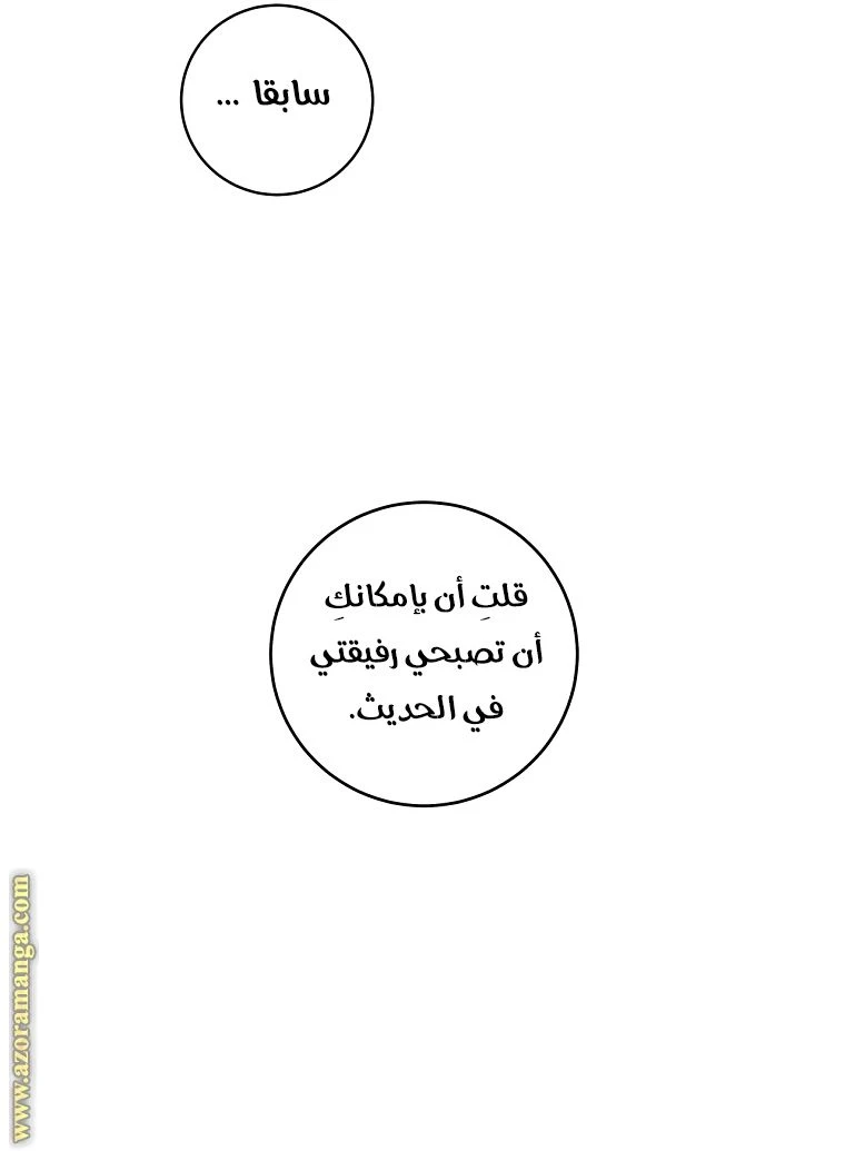 الصفحة 29