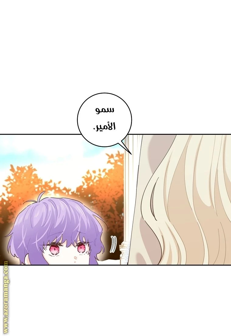 الصفحة 36