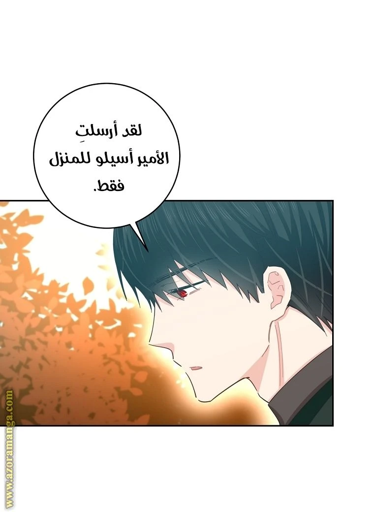الصفحة 39