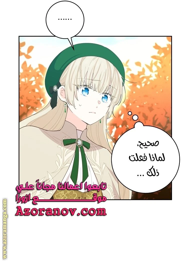الصفحة 41