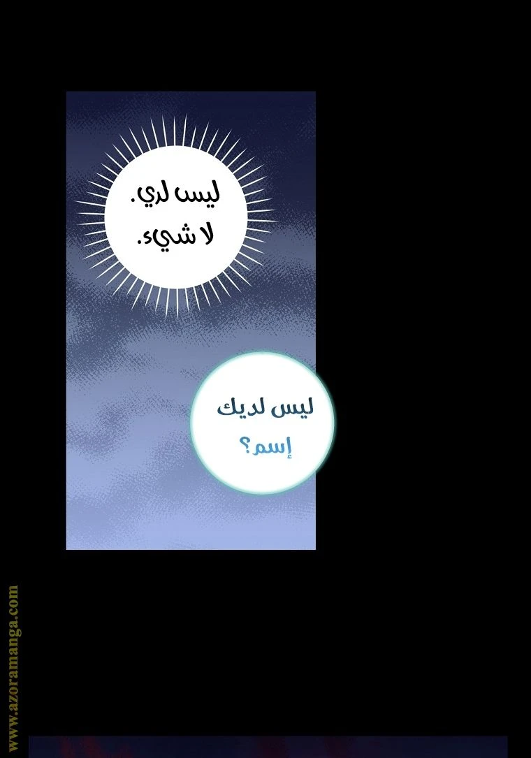 الصفحة 61