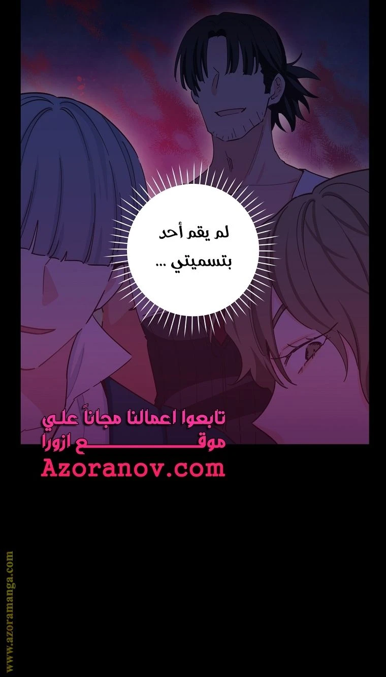 الصفحة 62