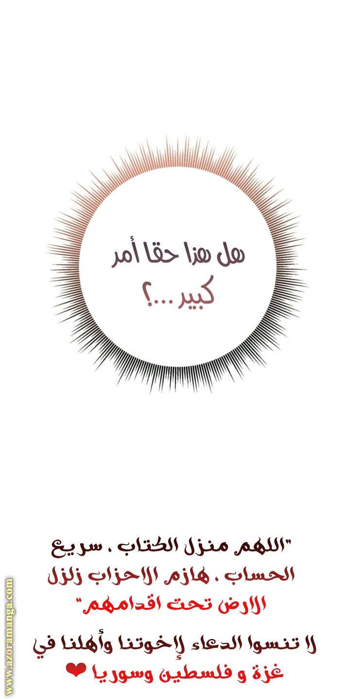 الصفحة 52